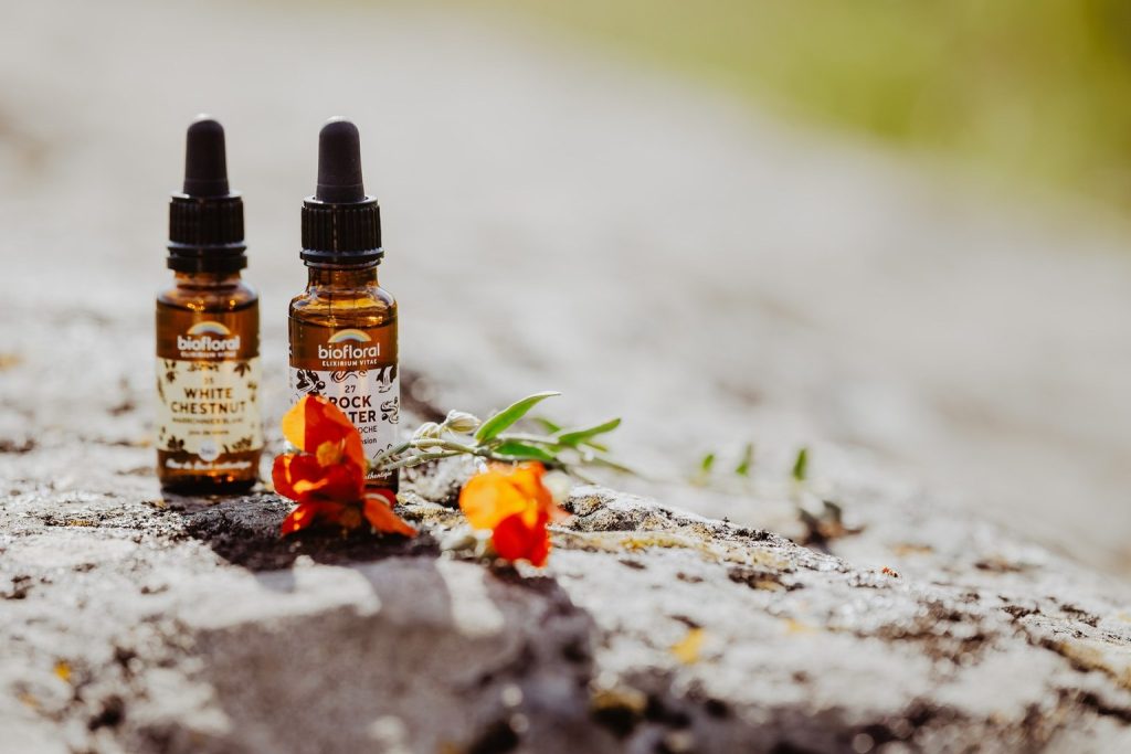 Bien-être, fleurs de Bach, consultations, gestion des émotions